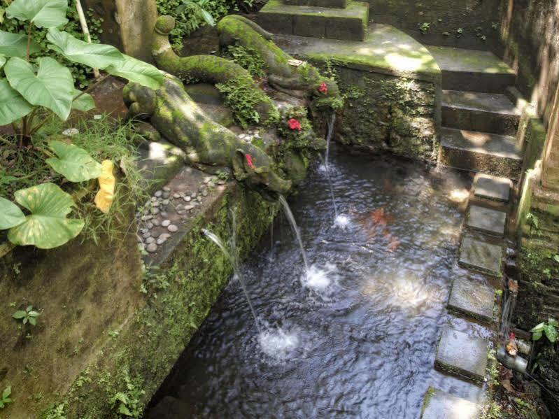 Bucu Beji Ubud Exterior photo