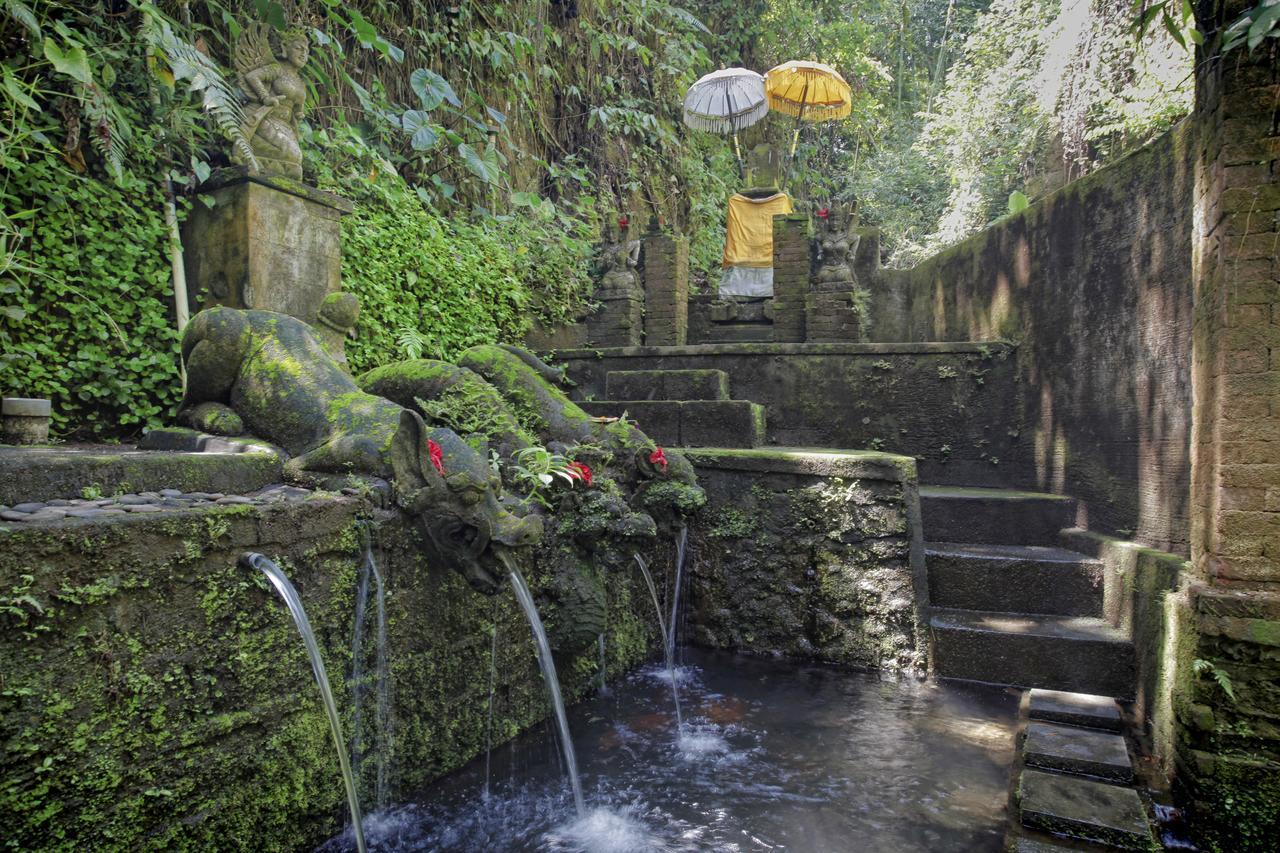 Bucu Beji Ubud Exterior photo