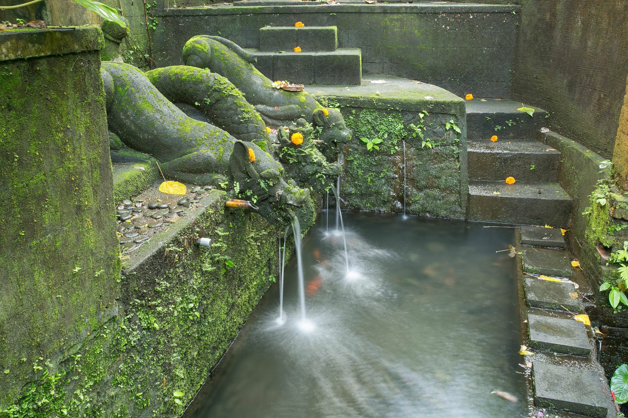 Bucu Beji Ubud Exterior photo
